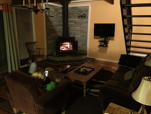 TV, fireplace, DVD player, video library