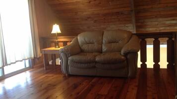 TV, fireplace, DVD player, video library