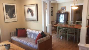 TV, DVD player, books, video library