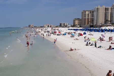 Clearwater Condo