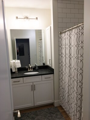 Hair dryer, towels, soap, shampoo - Adorable Modern 1-Bedroom Condo in Downtown Traverse City W/Parking (Traverse City)