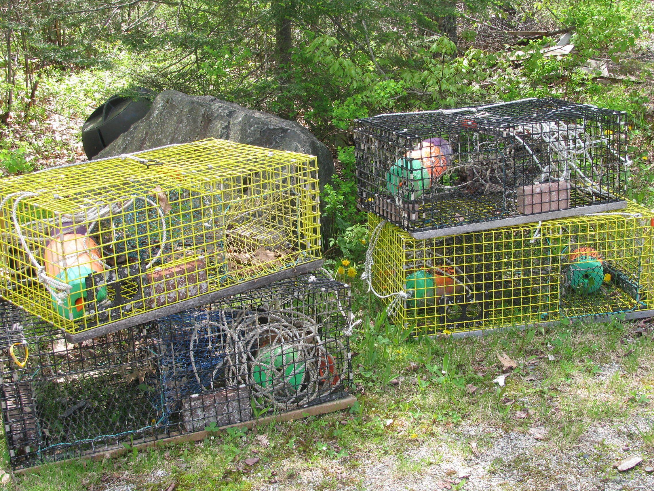 Lobster Traps