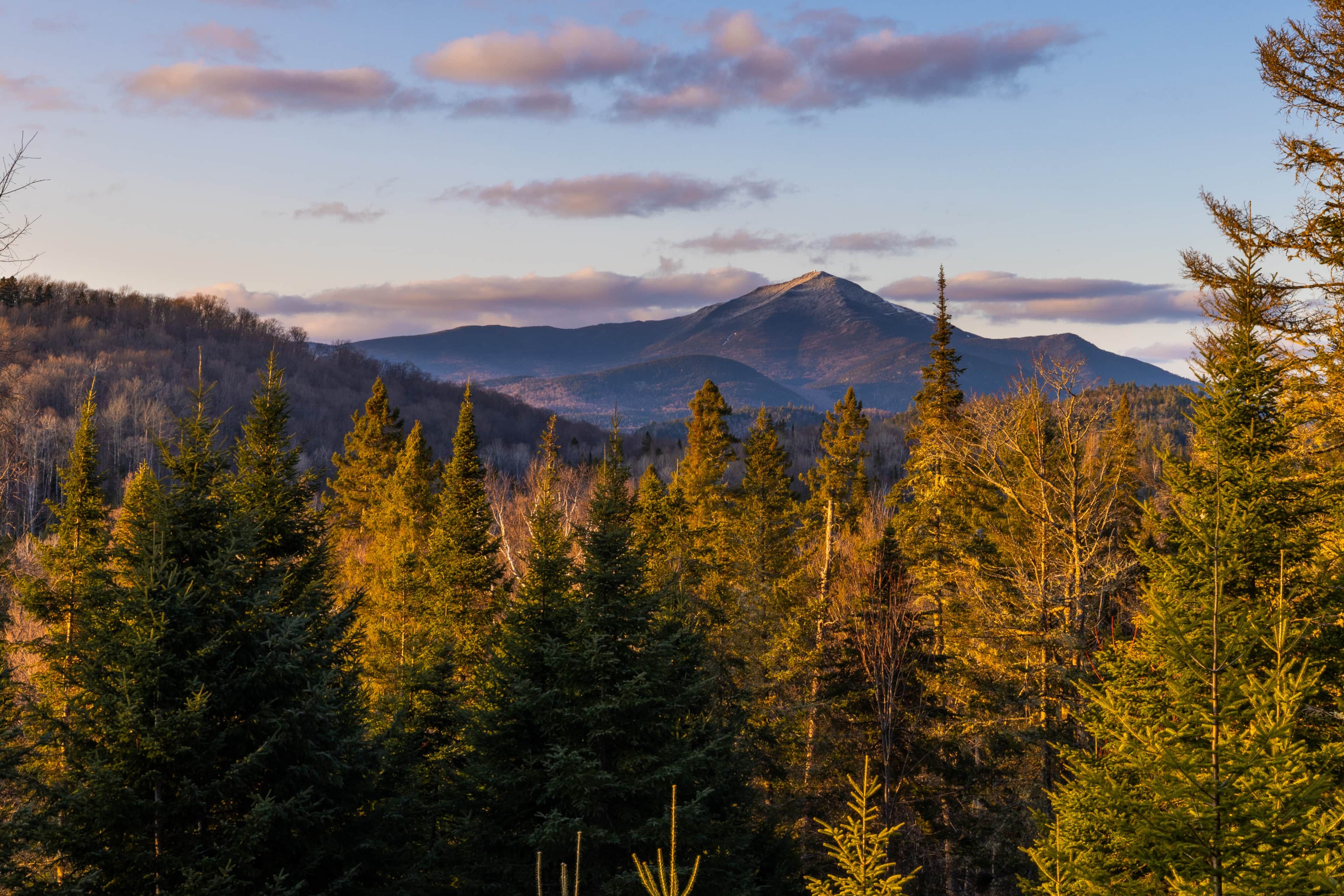 Paisagem montanhosa arborizada com densa vegetação de coníferas e um pico de montanha imponente ao fundo.