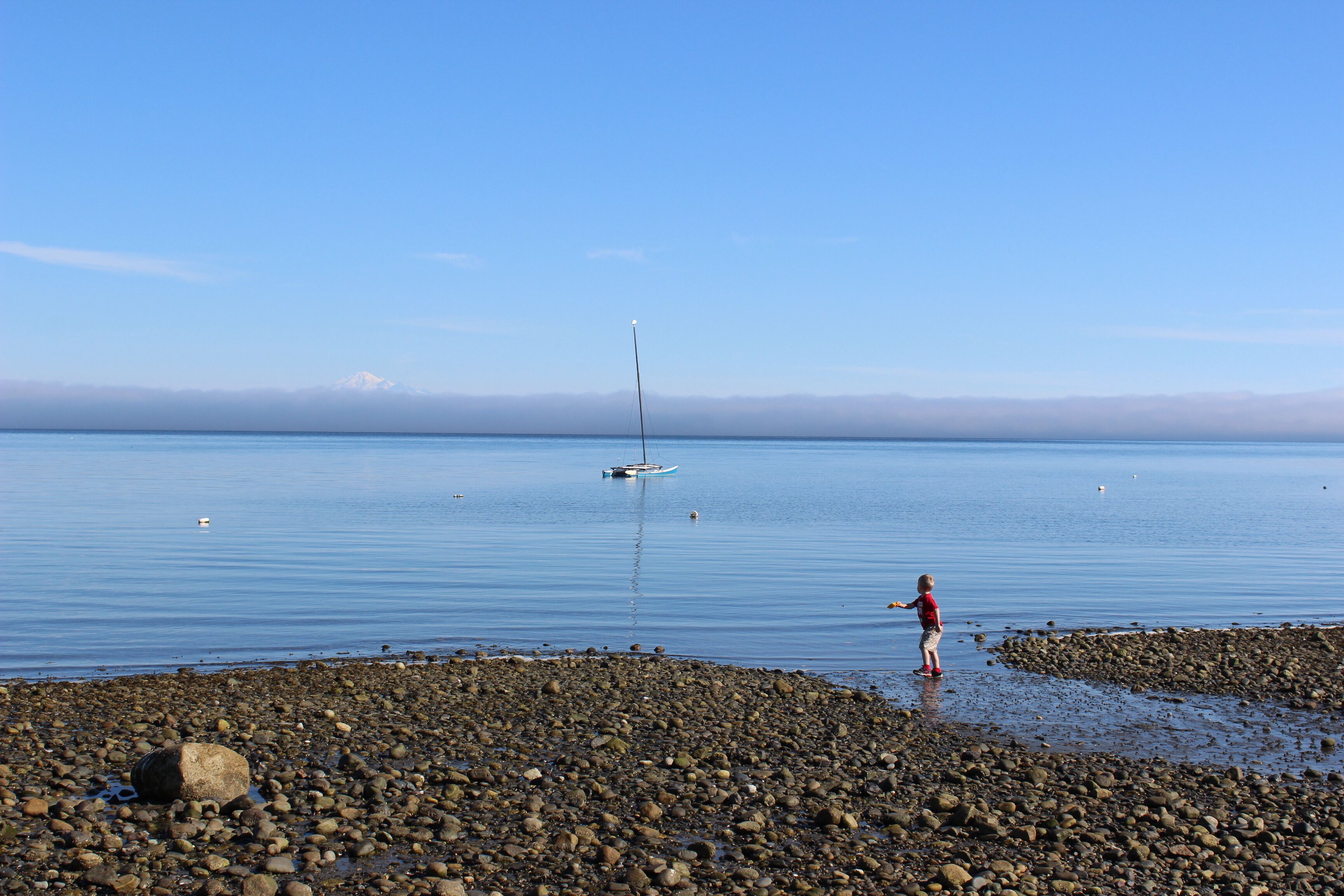 Large Vacation House near Tsawwassen 25 min to YVR