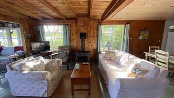 Smart TV, lareira, DVD player, livros