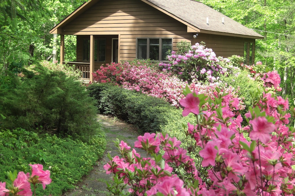 Secluded, Romantic Mountain Cabin for 2, fully equipped