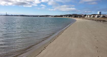 Roof deck dune view - Across From Beach & Pet Friendly