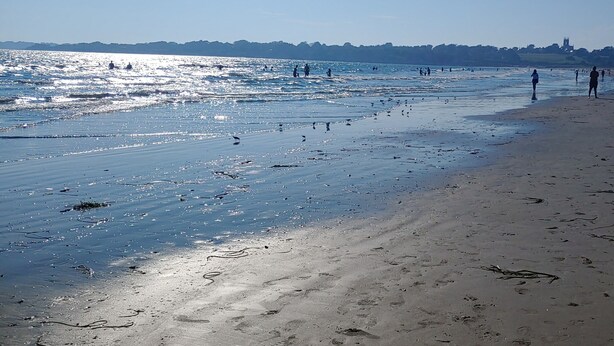 En strand med folk som promenerar längs strandkanten och havet i bakgrunden.