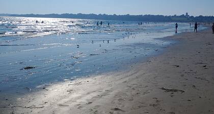 6BD / 3BA w / 2 erillistä asuintilaa. Kävele rannalle, upea kattoterassi, lähellä taipumista