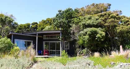 The Library Bach - A special place people love!