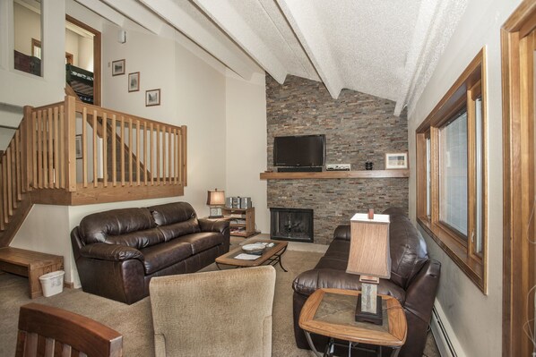 Télévision, cheminée, lecteur de DVD, livres