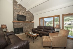 Télévision, cheminée, lecteur de DVD, livres