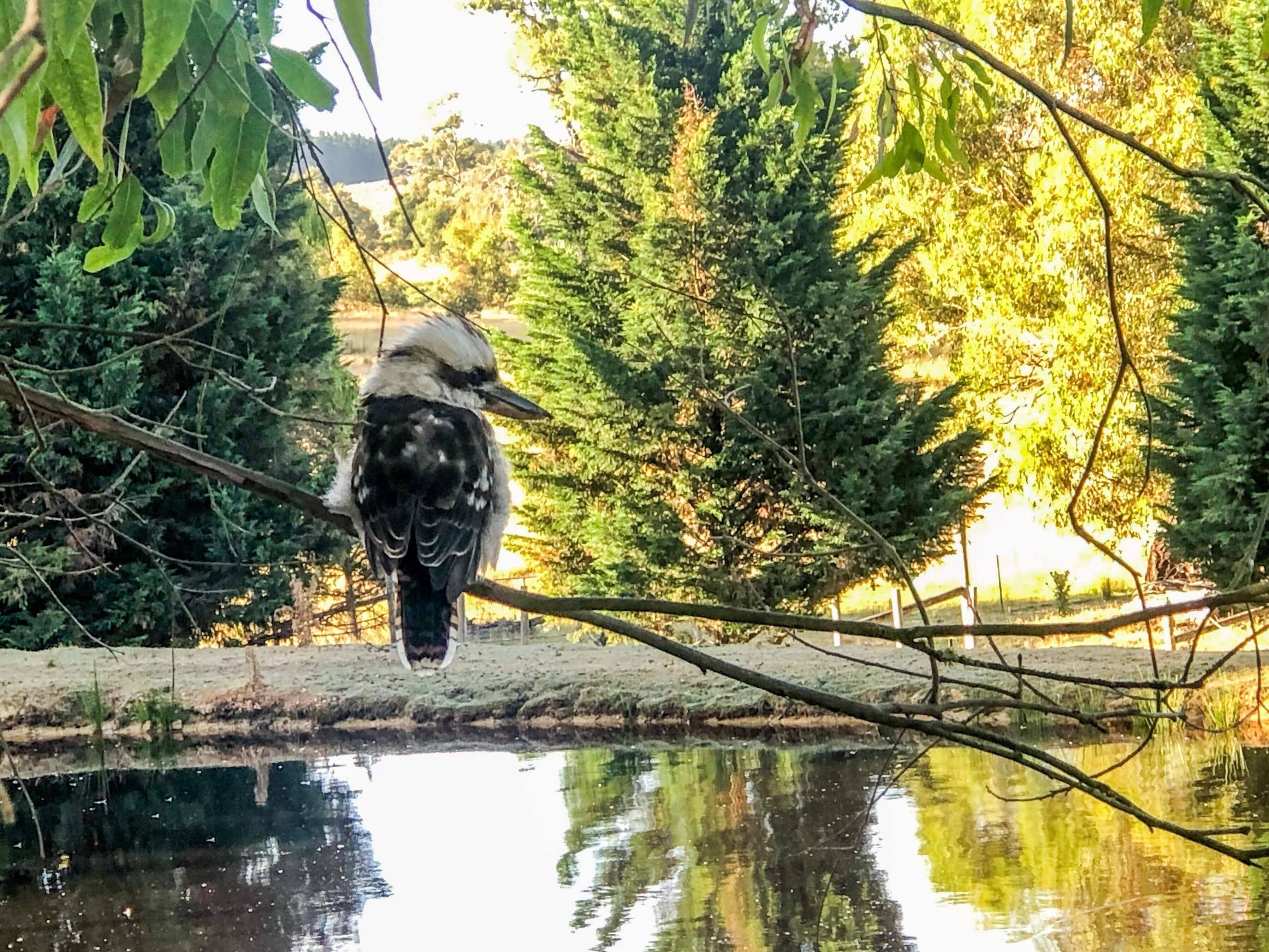 Tullaburra Farmstay