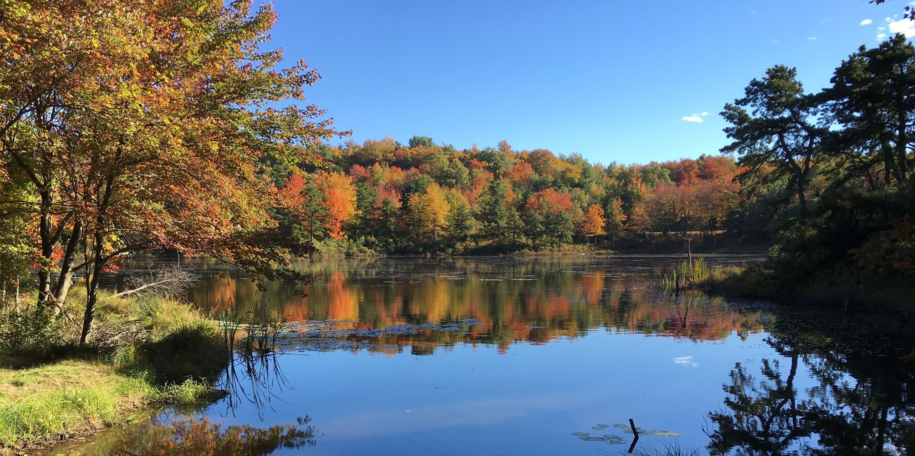 Family Lake Escape in the Poconos