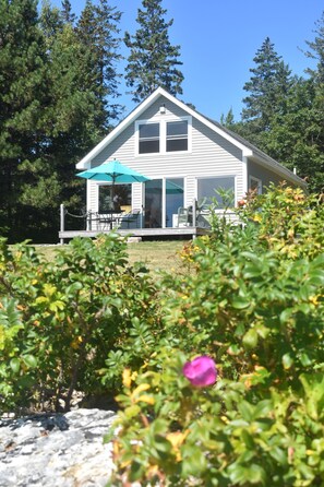 Exterior - Oceanfront cottage with gorgeous views of Cadillac Mt.,seals and ocean birds (Trenton)