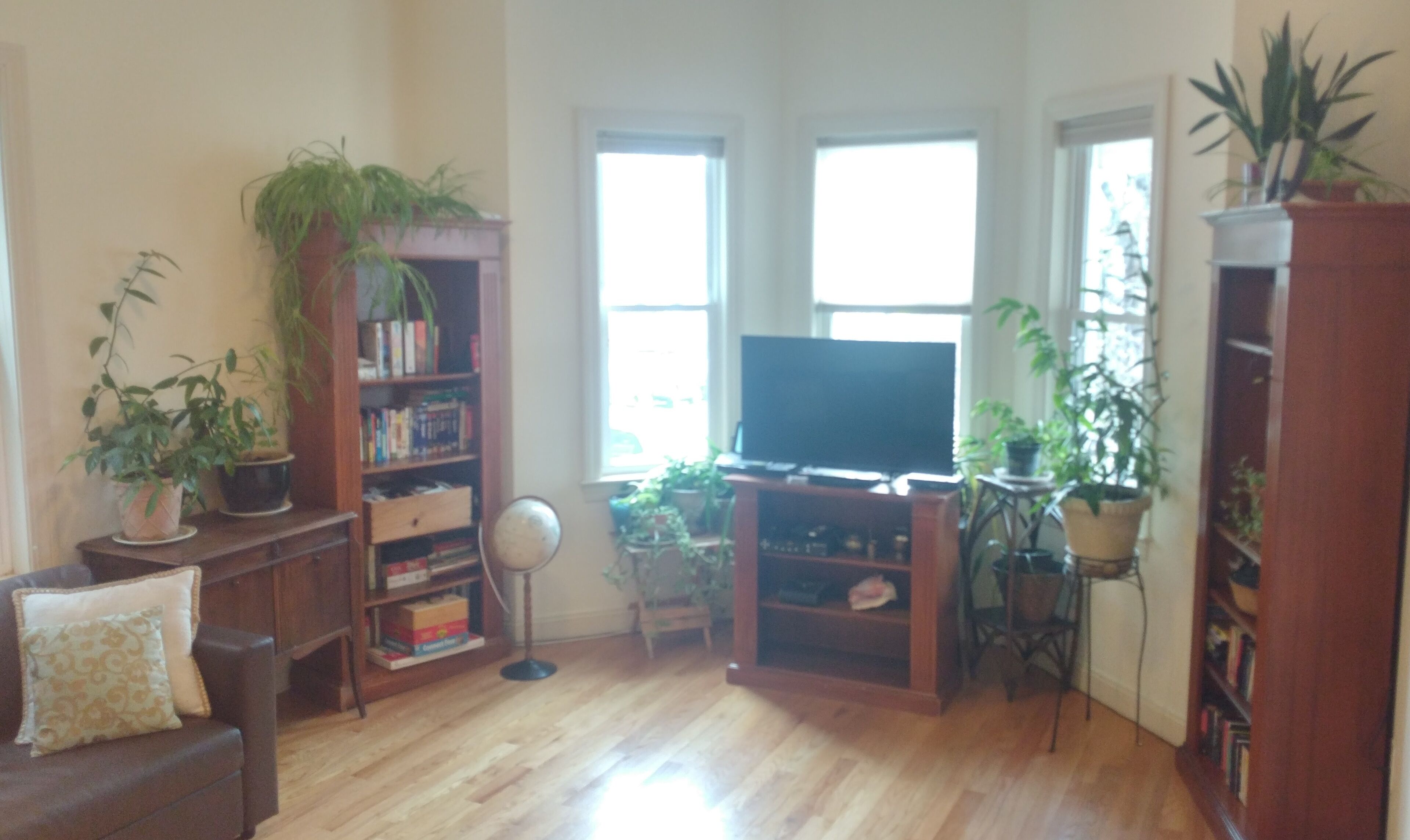 Jamaica Plain's Egleston Square 2 Bed With Central Air, Parking, Laundry & WiFi
