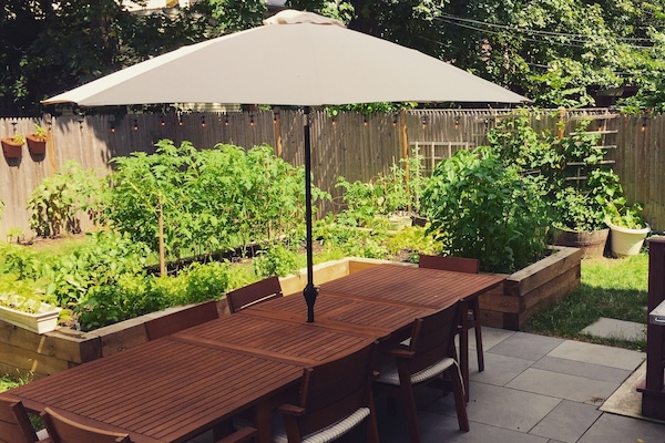 Backyard
