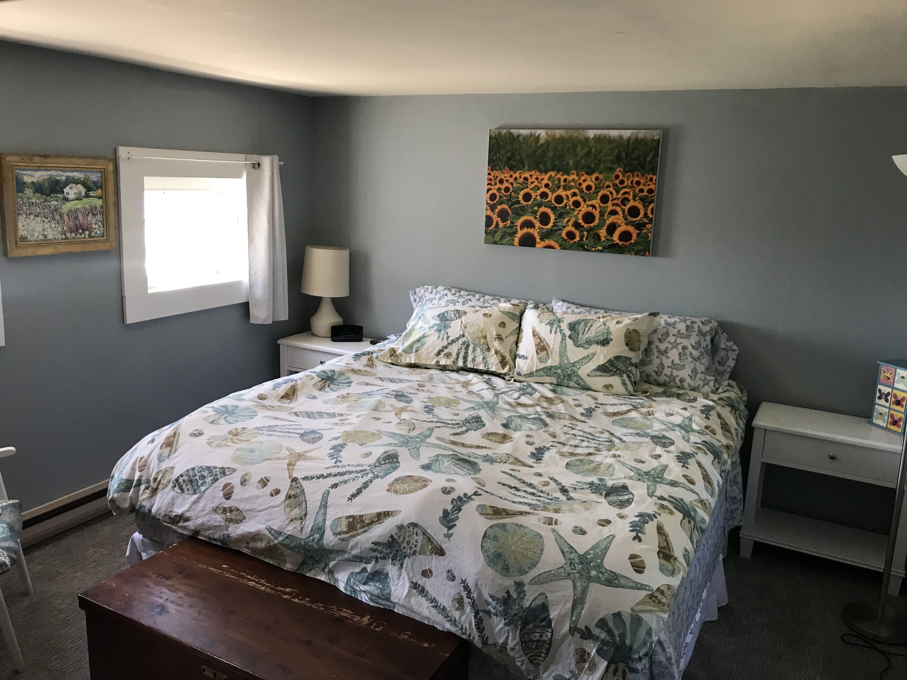 Oceanfront on John's Bay with Private Beach 50 feet from Cottage, New Harbor.