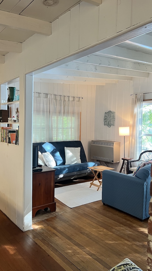 Smart TV, DVD player, books, video library