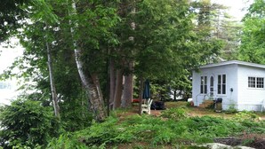 Une petite cabane blanche, entourée d’une forêt dense.