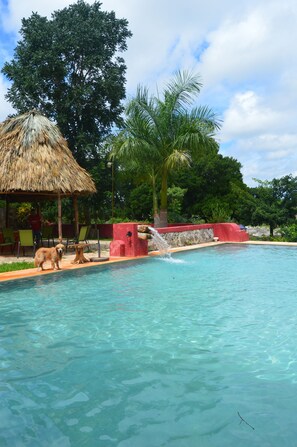 Piscina externa