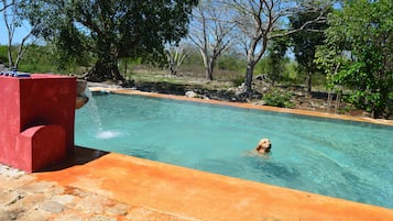 Una piscina al aire libre