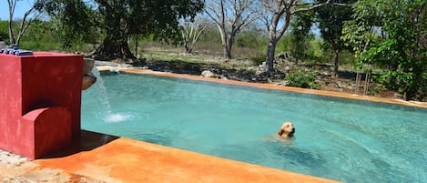 Una piscina al aire libre