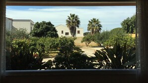 Una vista attraverso una finestra su un cortile con palme, un edificio bianco e diverse piante.