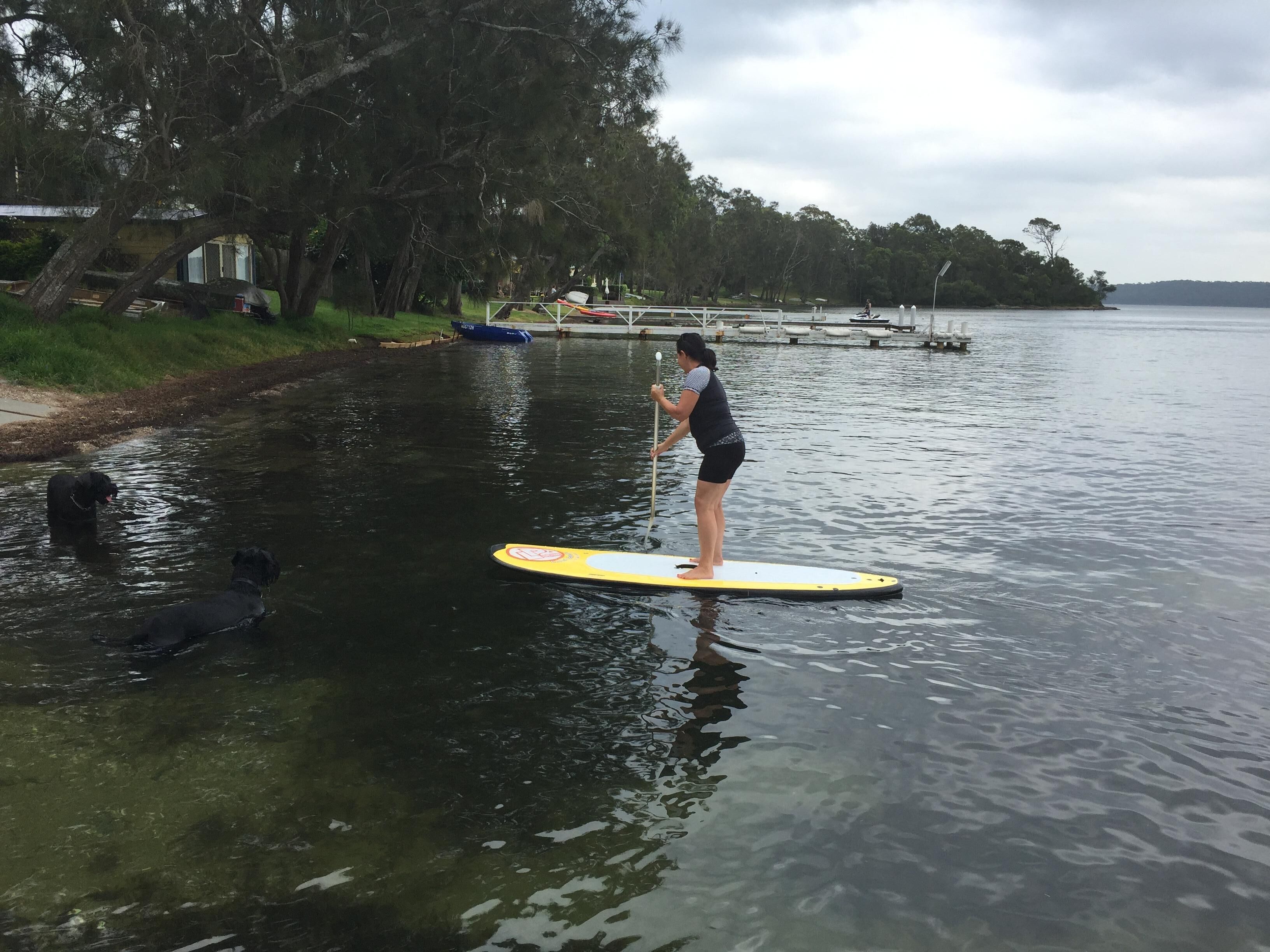 Iemand staat op een paddleboard op een rustig meer, met een steiger en bomen op de achtergrond.