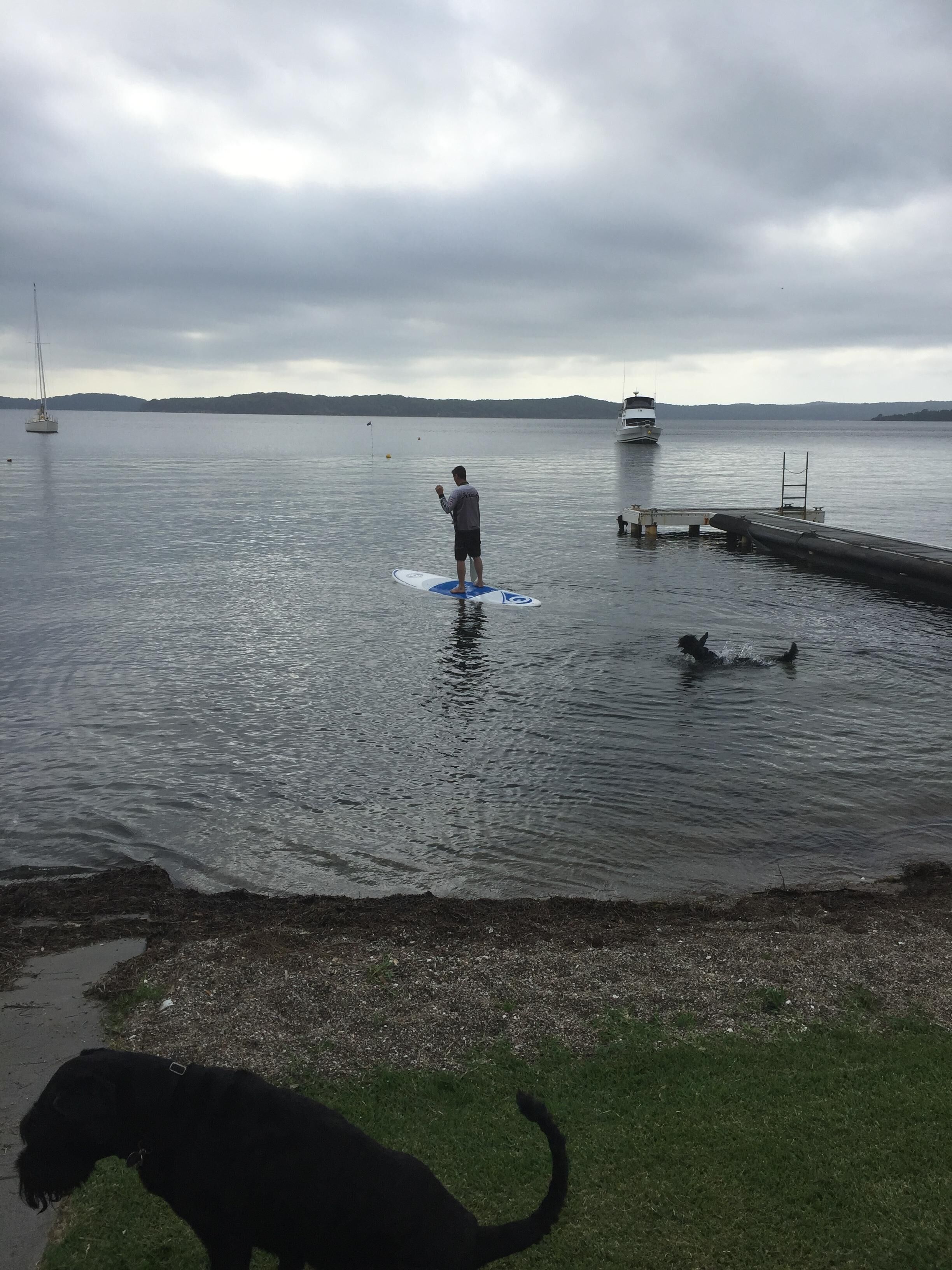 A person standing on a surfboard in calm water with a dock and a boat in the background.