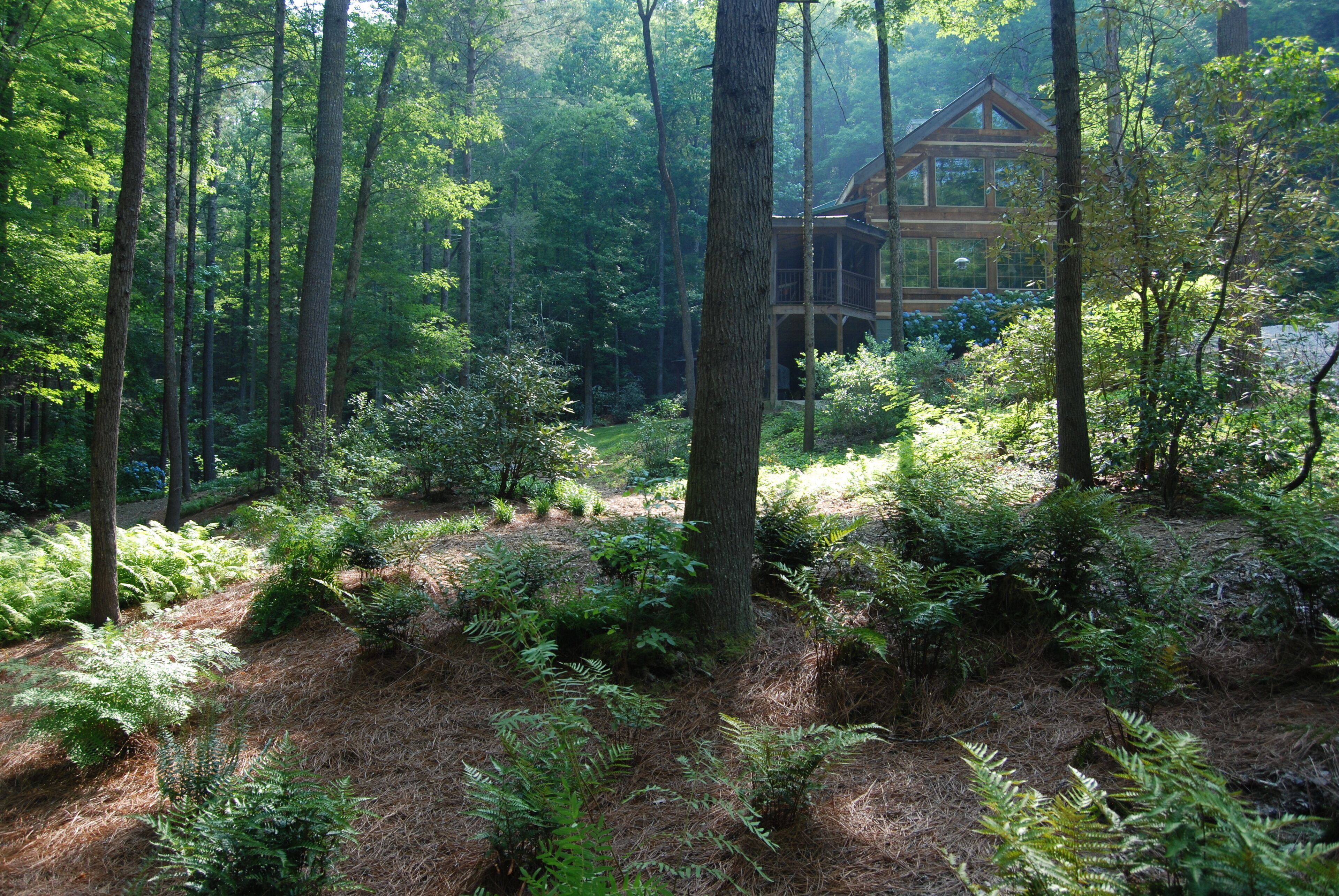 Enchanting Brooksong Log Cabin, TWO large waterfalls, 6 private acres, 4 streams