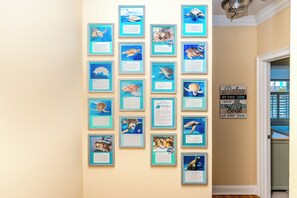 A wall with framed pictures of sea turtles and informational text. - The Lazy Loggerhead - 4 BR Duplex w/ Great Covered Porch! (Topsail Beach)