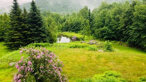 Üppige grüne Landschaft mit einem kleinen Teich, dichten Bäumen und einer Hügelkette im Hintergrund.