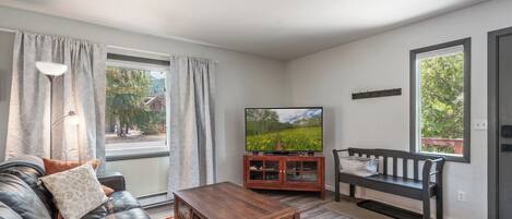 TV connectée, cheminée, chaîne hi-fi