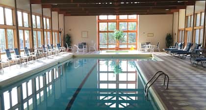Fantastic Luxury Condo In Loon/Lincoln