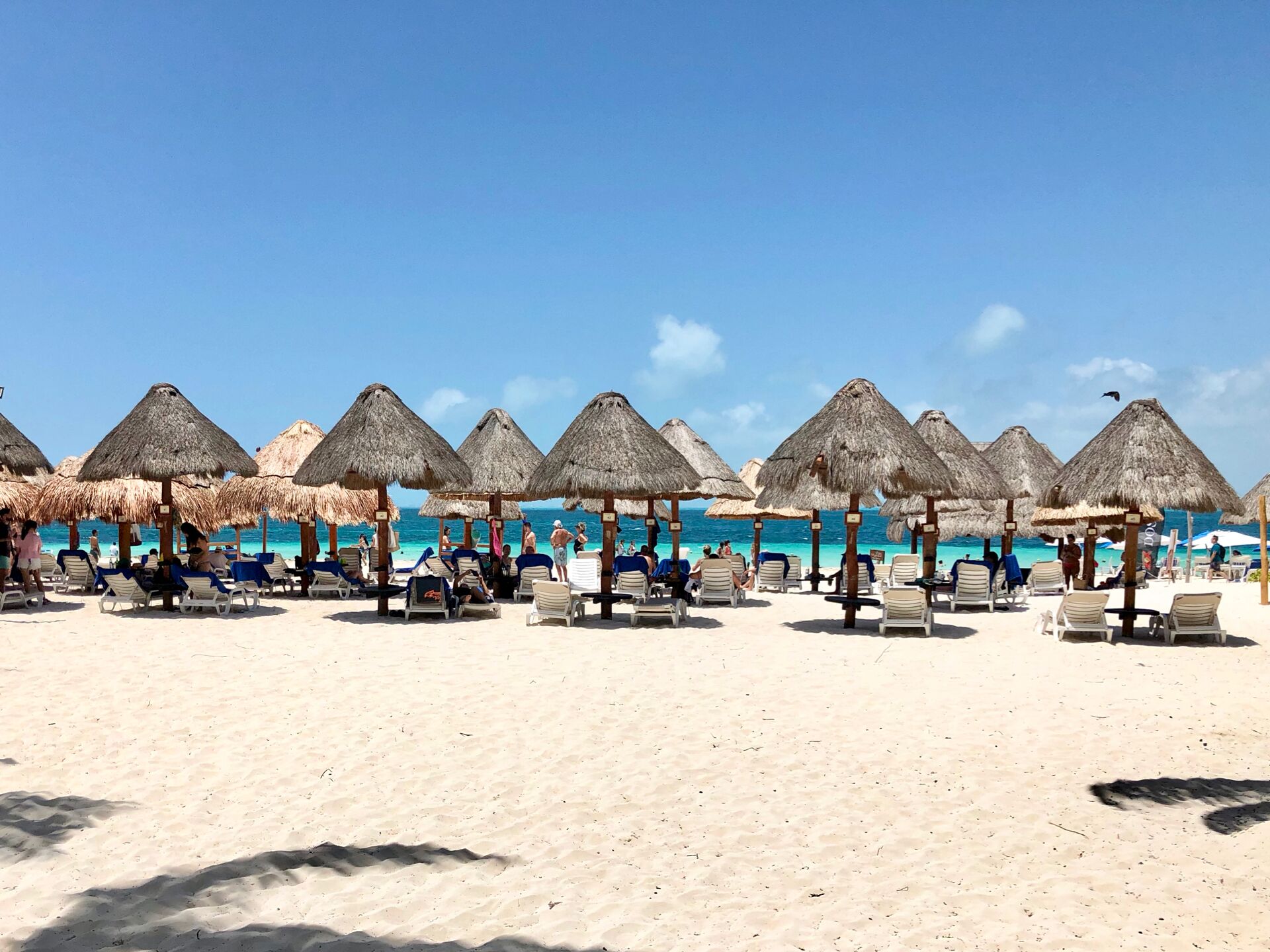 Chaises longues, serviettes de plage