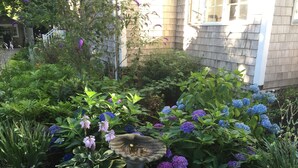 Un jardín con diversas plantas y flores, entre ellas hortensias y helechos, y un abrevadero para pájaros en el centro.