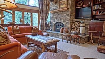 Smart TV, fireplace, DVD player, books