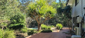 A garden with a pathway leading to a building. - The Hill Top Retreat (Eatons Hill)