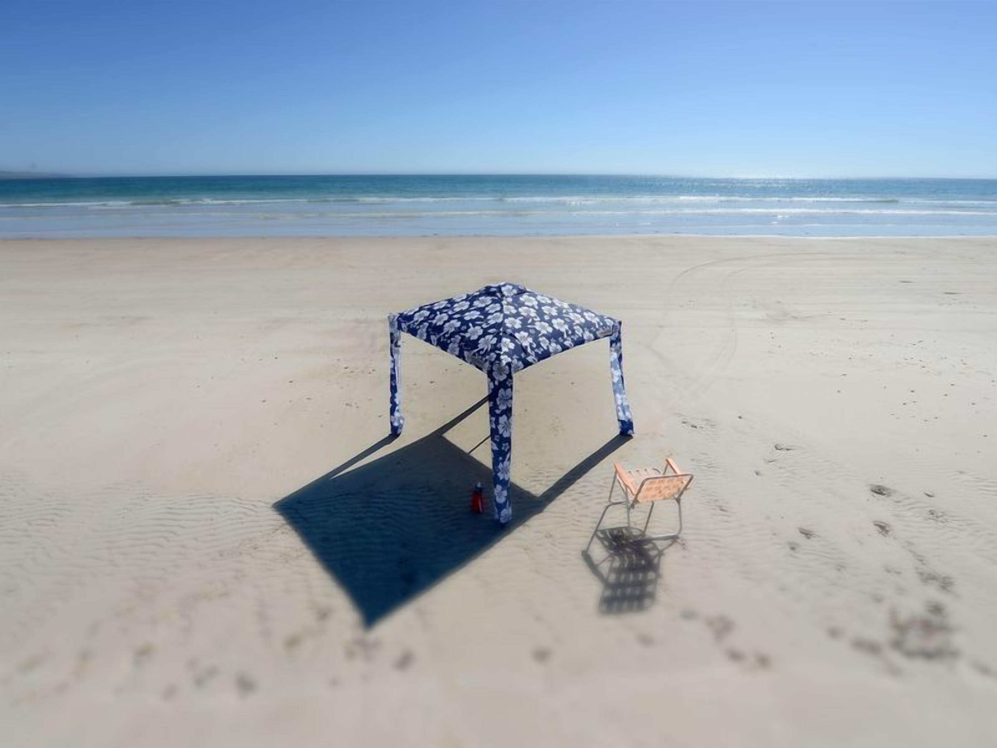 Aloha Silver Sands, sea and vines