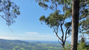 A wooden deck with a table and benches overlooking a forested landscape. - Escarpment - Bush to beach views (Berry)