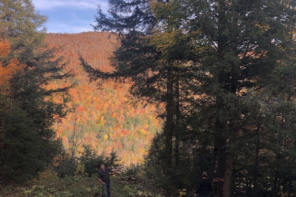 beautiful fall day at house
 view from deck