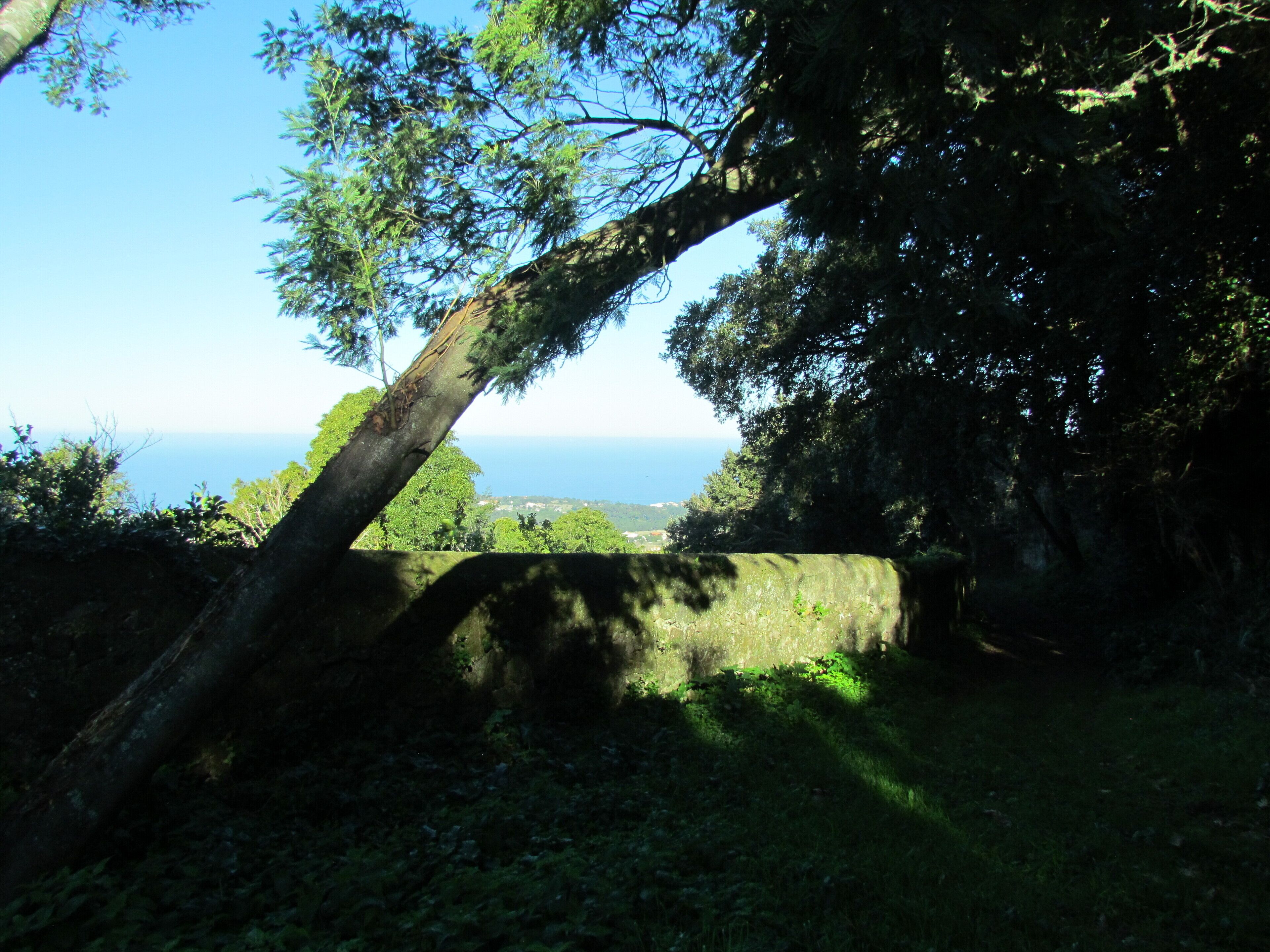 Path behind house