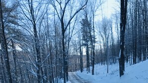 Eine verschneite Straße, gesäumt von Bäumen.