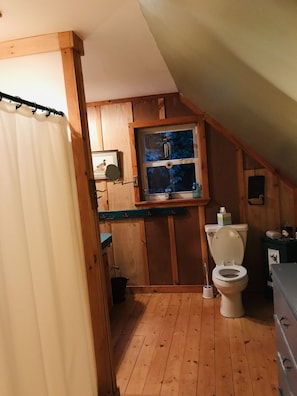 Douche, sèche-cheveux, shampoing, papier toilette