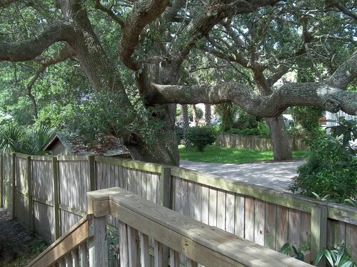 Cooper Flats-Upstairs - 2 blocks to the Beach & to Downtown FB, Extraordinary!