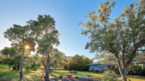 A garden with a wheel, a house, and trees.