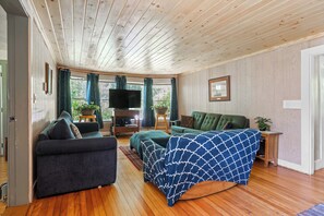 TV connectée, cheminée, lecteur de DVD, livres