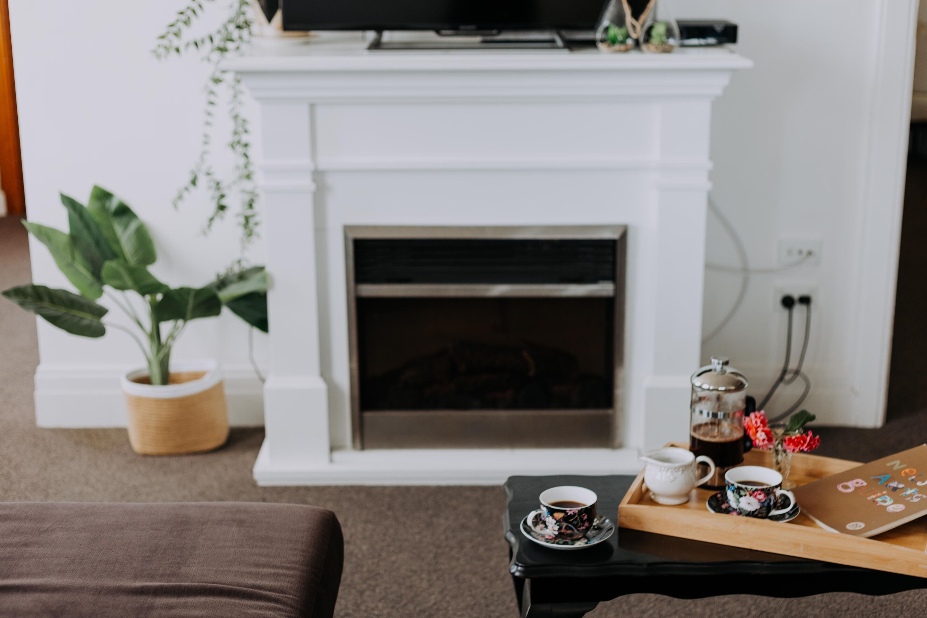 TV, fireplace, books