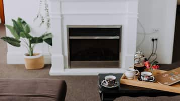 TV, fireplace, books